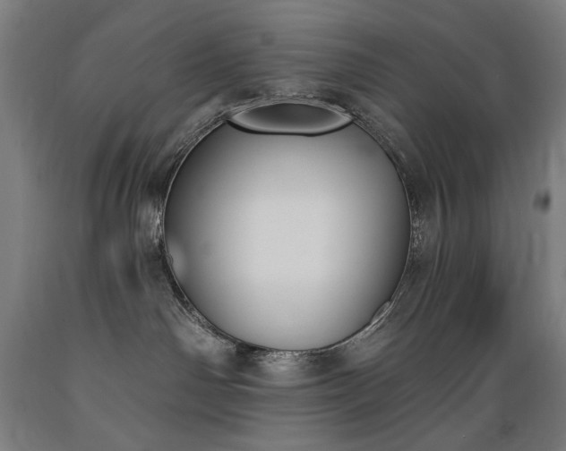 X0000089390142200706221326