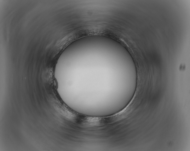 X0000089390144200706221326
