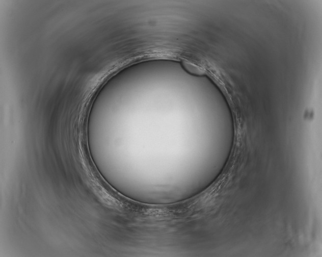 X0000089390145200706221325