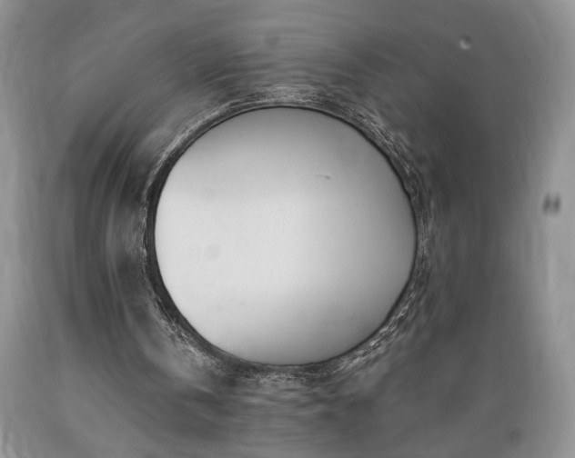 X0000089390146200706221326