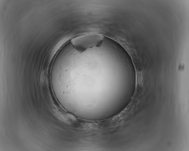 X0000089390147200706221326