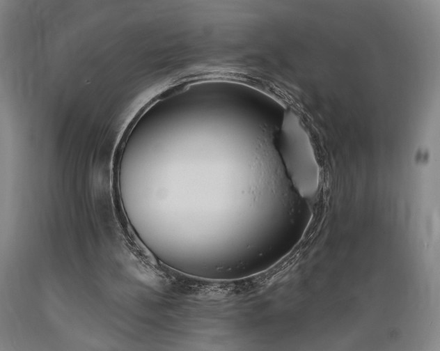 X0000089390148200706221326