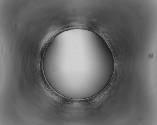 X0000089390149200706221326