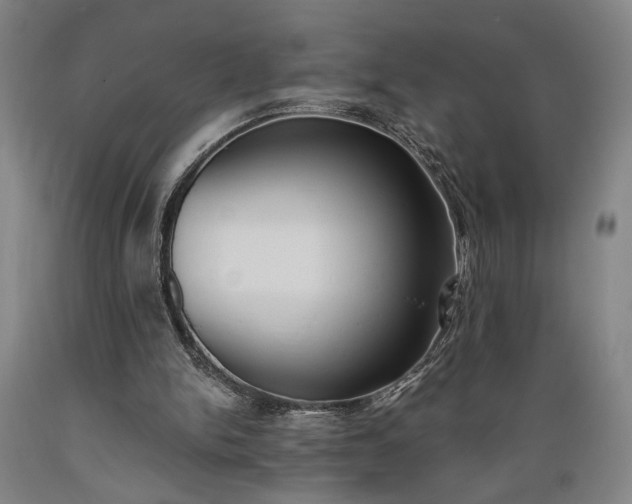X0000089390150200706221326