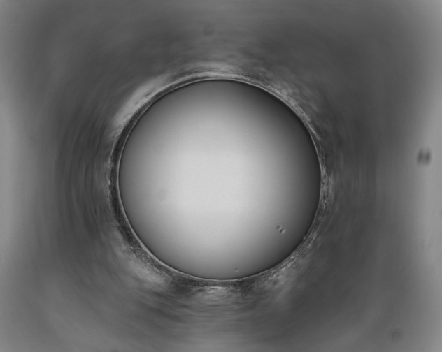 X0000089390151200706221326