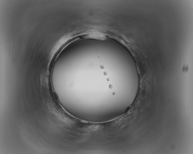 X0000089390152200706221326