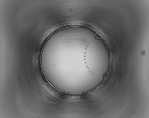 X0000089390155200706221326