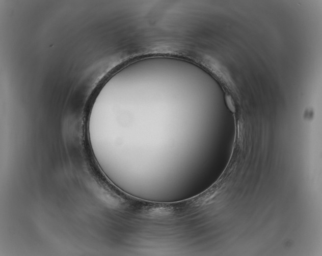 X0000089390156200706221326