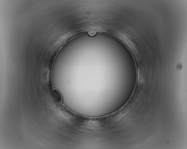 X0000089390157200706221326