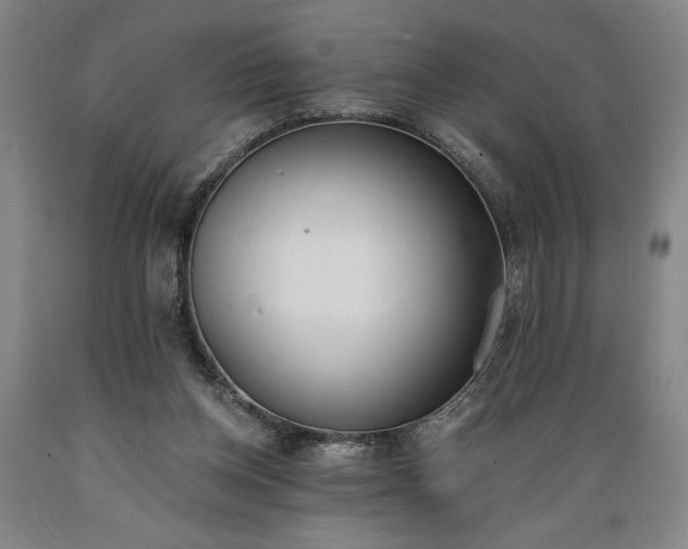 X0000089390158200706221326