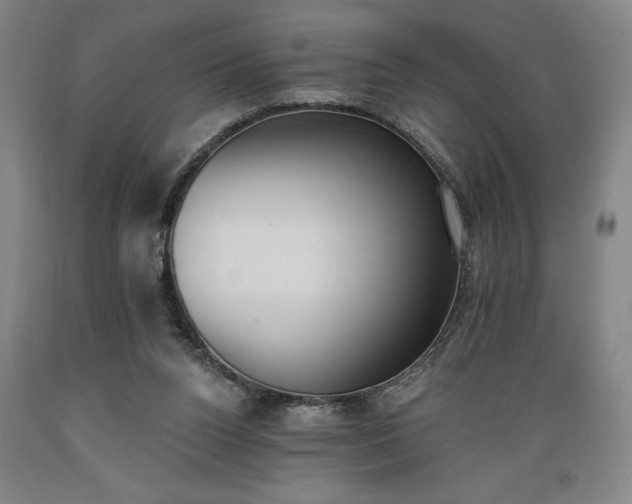 X0000089390160200706221326