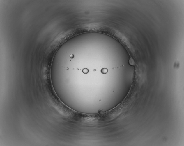 X0000089390161200706221326