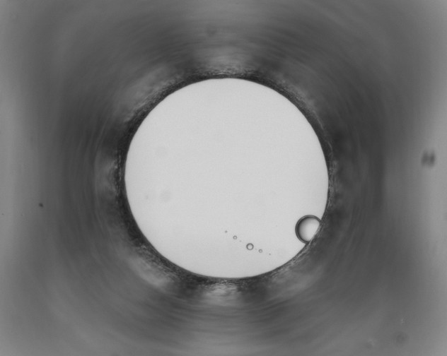 X0000089390162200706221326