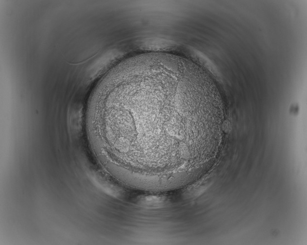 X0000089390163200706221326