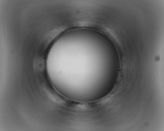 X0000089390164200706221326
