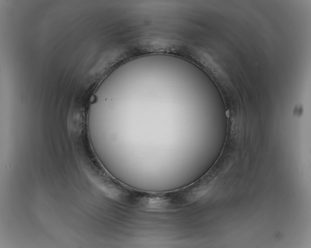 X0000089390165200706221326