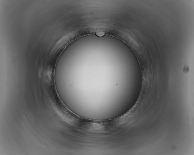 X0000089390166200706221326