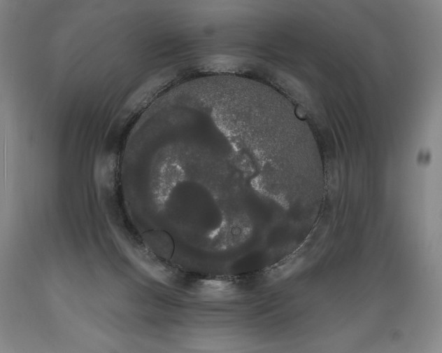X0000089390167200706221326