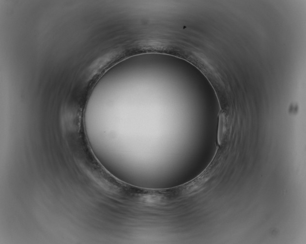 X0000089390168200706221326