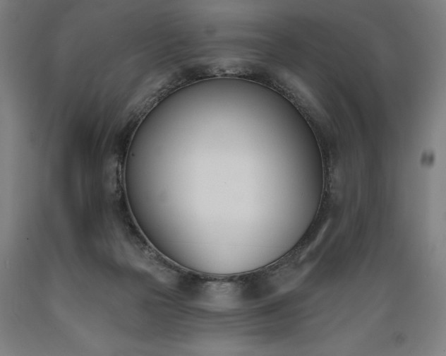 X0000089390169200706221326