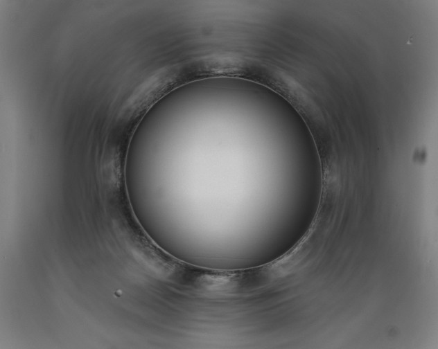 X0000089390170200706221326