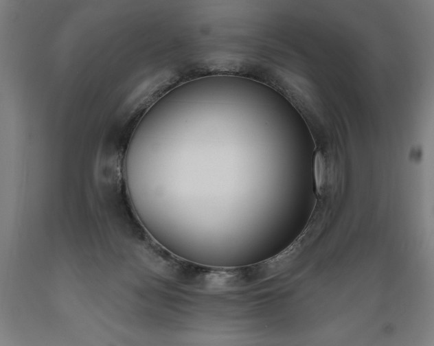 X0000089390172200706221326