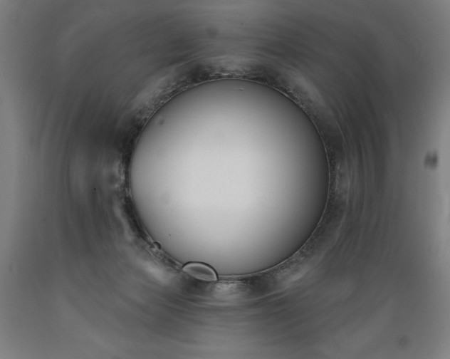 X0000089390173200706221326