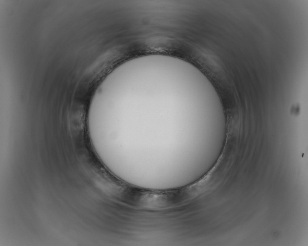 X0000089390174200706221326