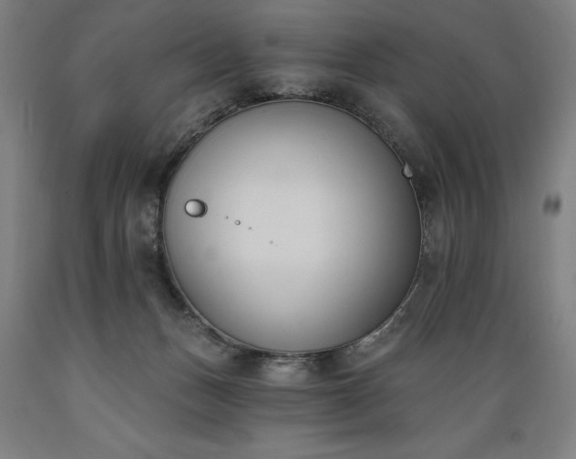 X0000089390175200706221326