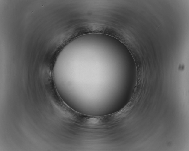 X0000089390176200706221326