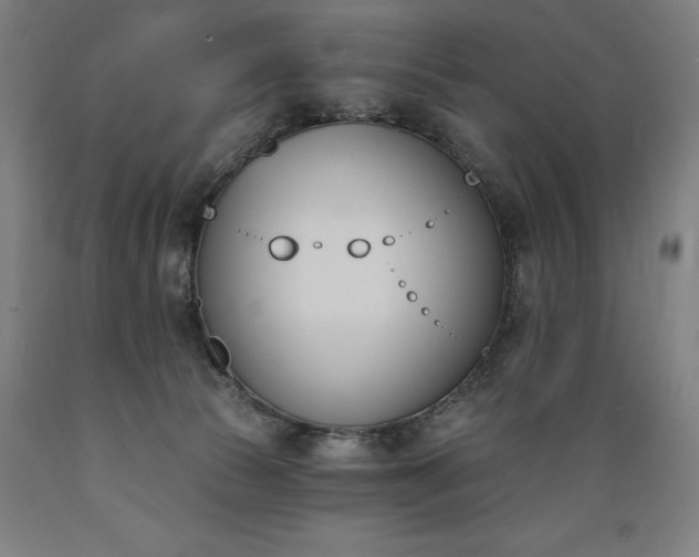 X0000089390177200706221326