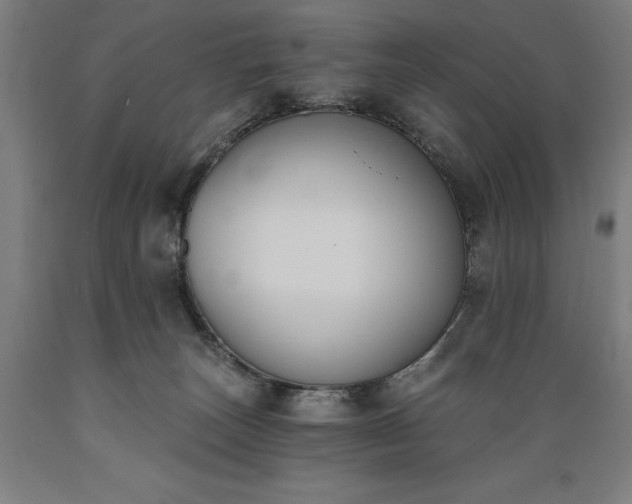 X0000089390179200706221326