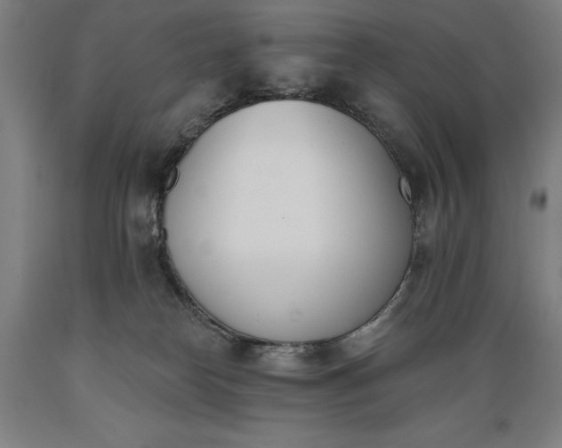 X0000089390182200706221326