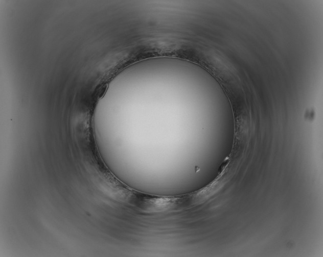 X0000089390184200706221326