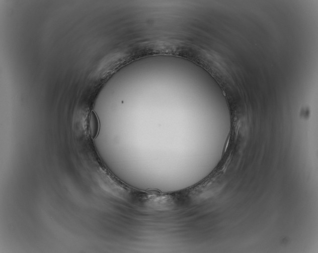X0000089390185200706221326