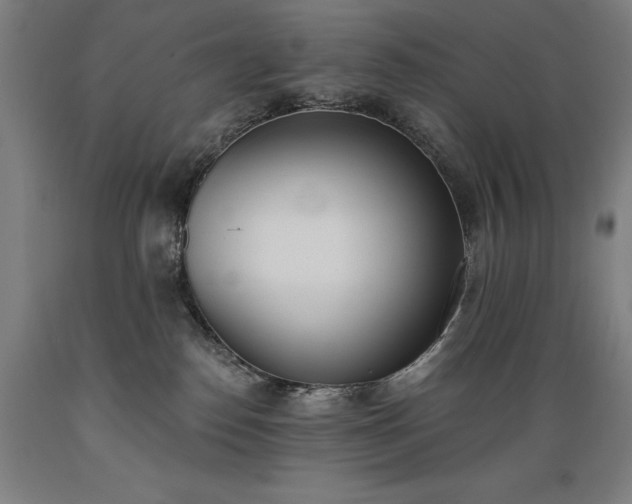 X0000089390186200706221326