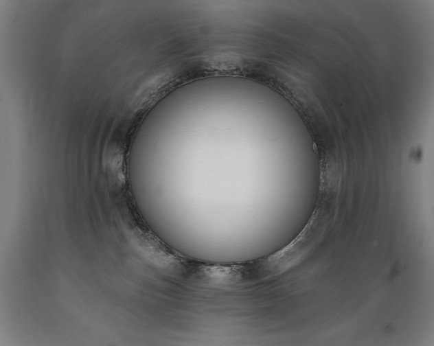 X0000089390187200706221326