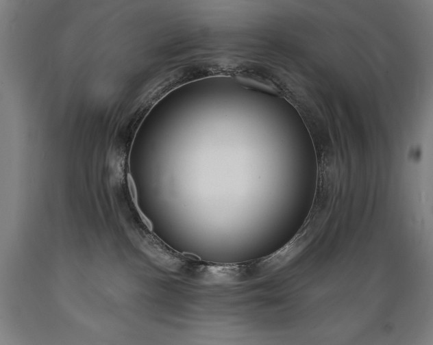 X0000089390188200706221326