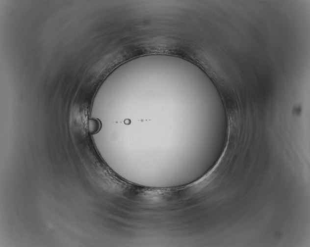 X0000089390190200706221326