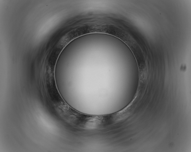 X0000089390191200706221326
