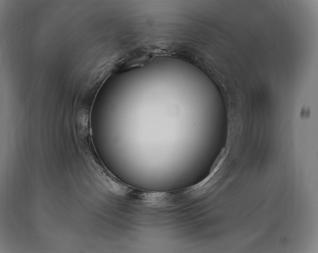 X0000089390192200706221326