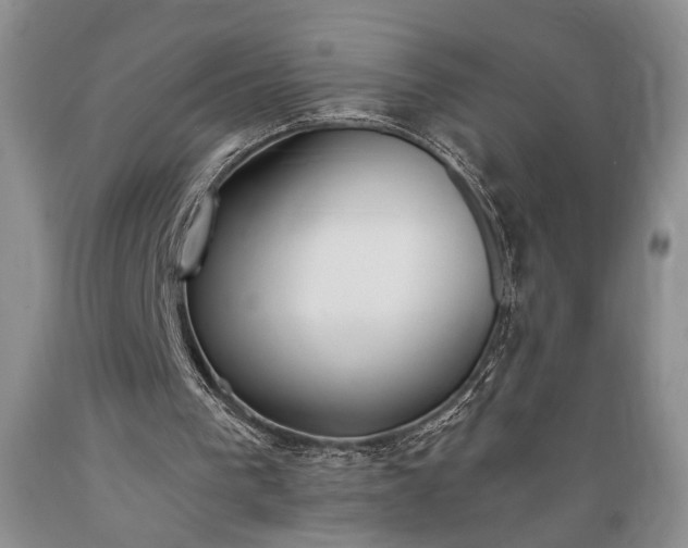 X0000089390193200706221325