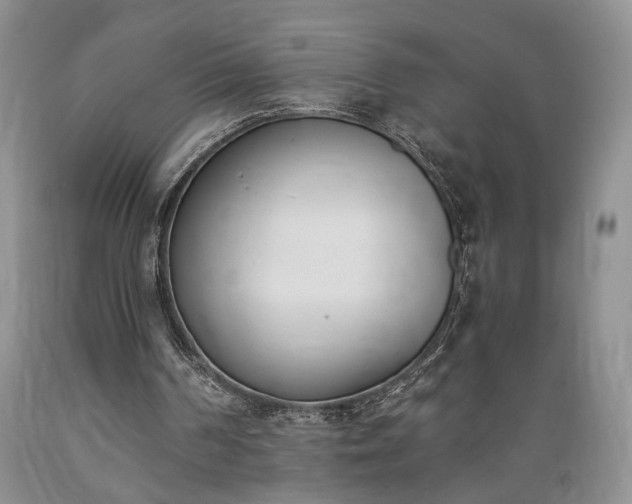 X0000089390194200706221325