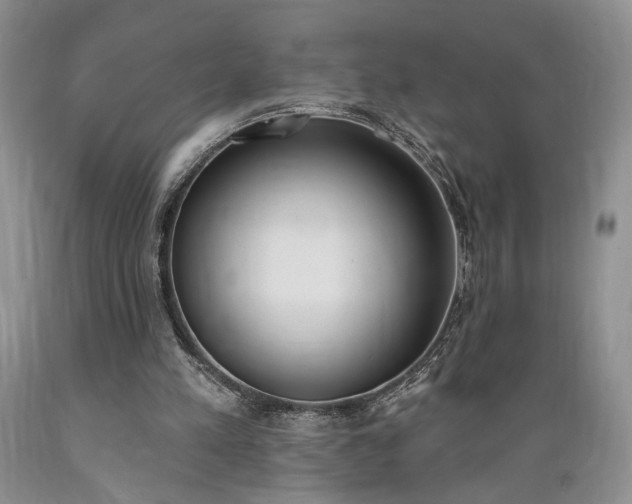 X0000089390197200706221325