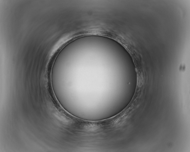 X0000089390198200706221325