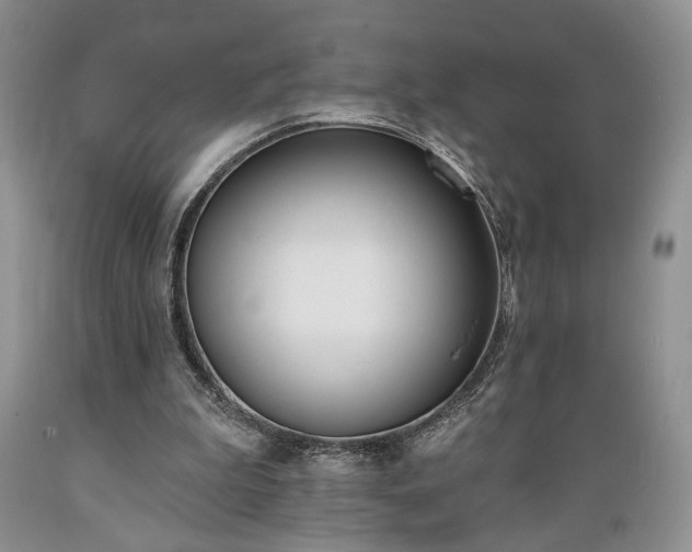X0000089390199200706221325