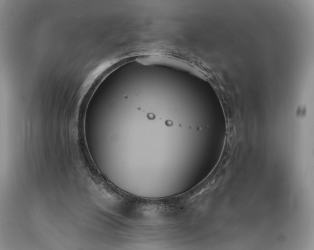 X0000089390200200706221325