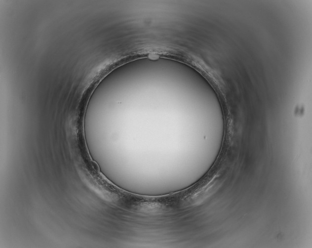 X0000089390203200706221325