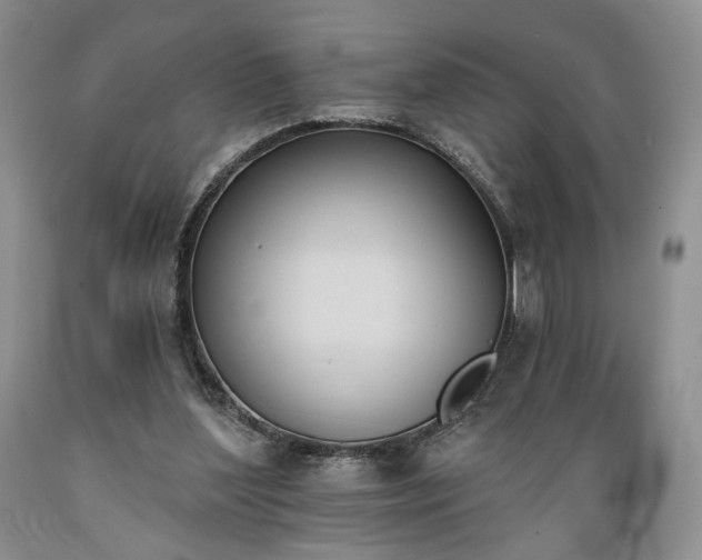 X0000089390204200706221325