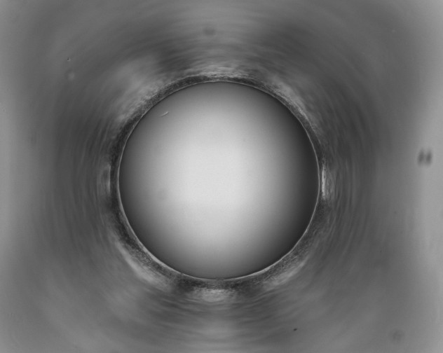 X0000089390205200706221325